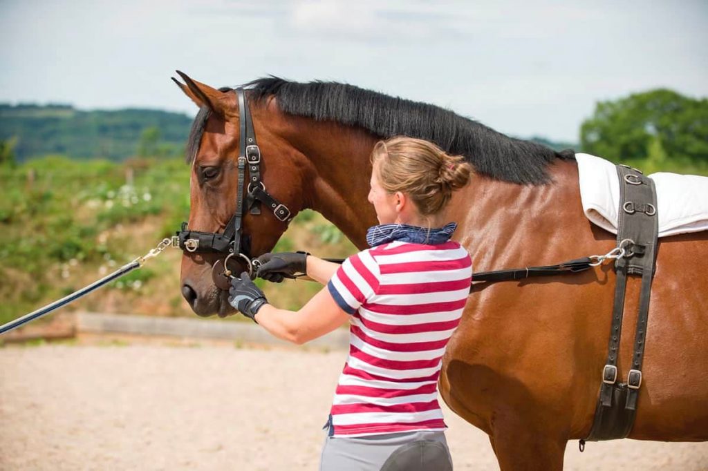 Horse-safety