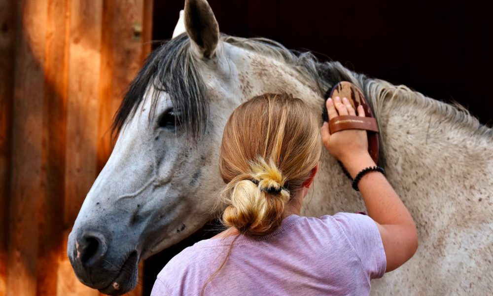 grooming-a-horse