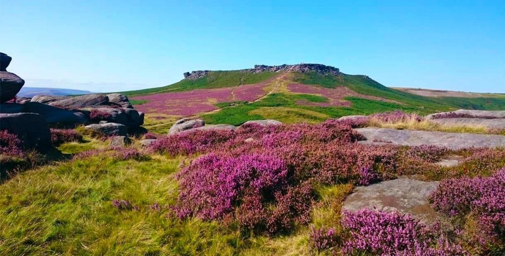 Longshaw Estate