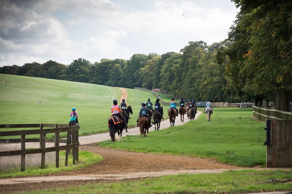 Newmarket Heath 