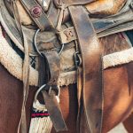 Horse equipment