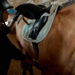 Riding gear 101