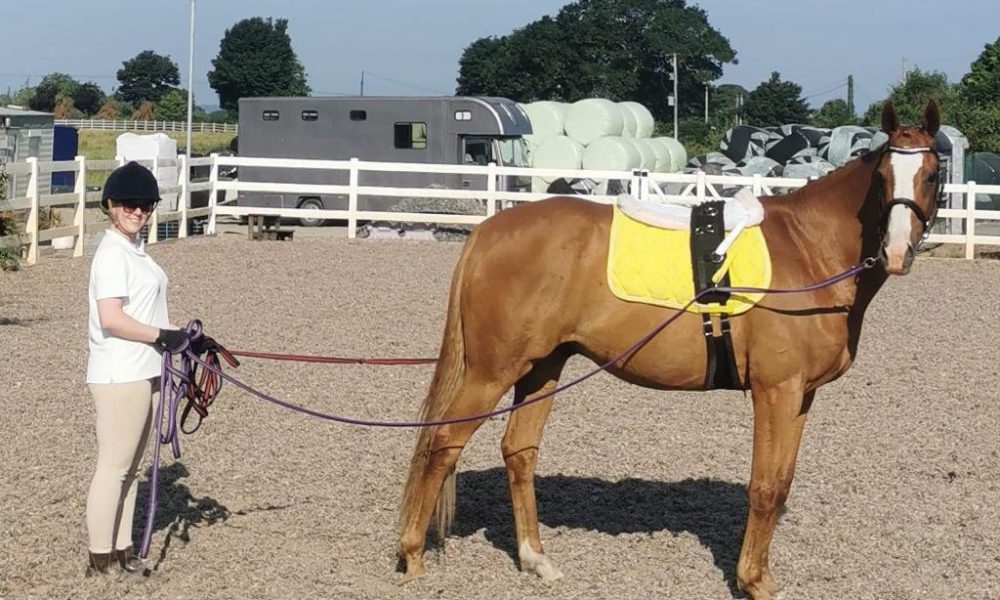 Long Reining a horse