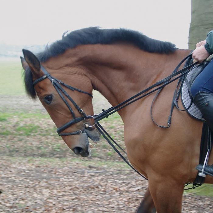 Using Draw Reins draw-reins