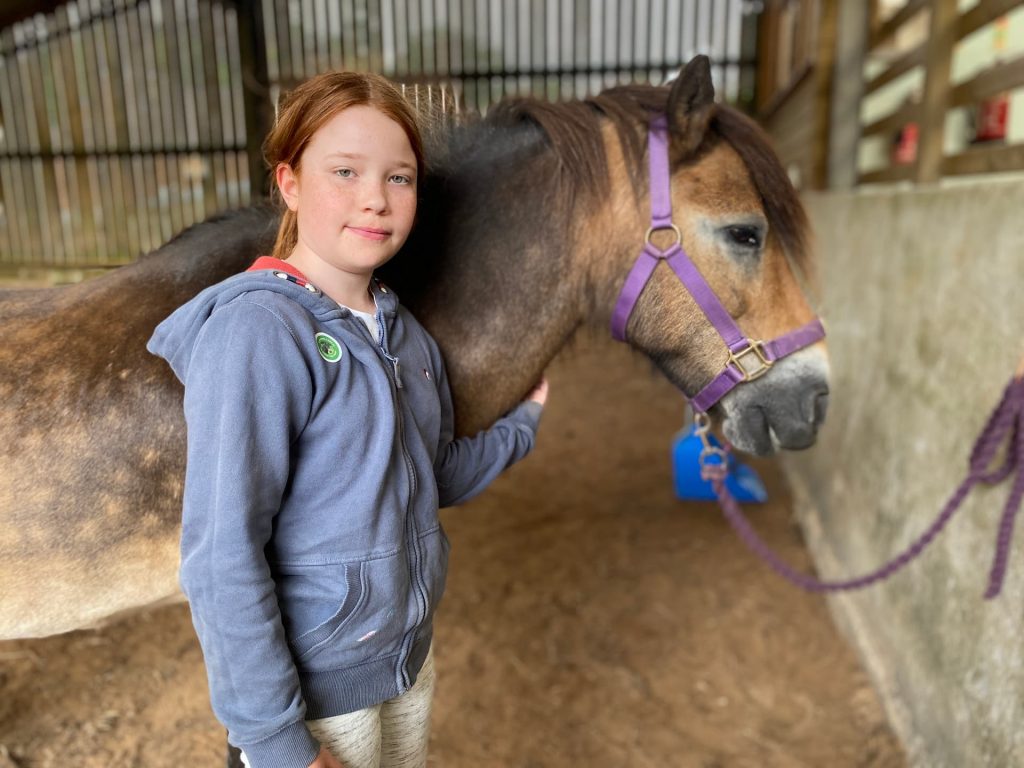 Exmoor Pony Sanctuary