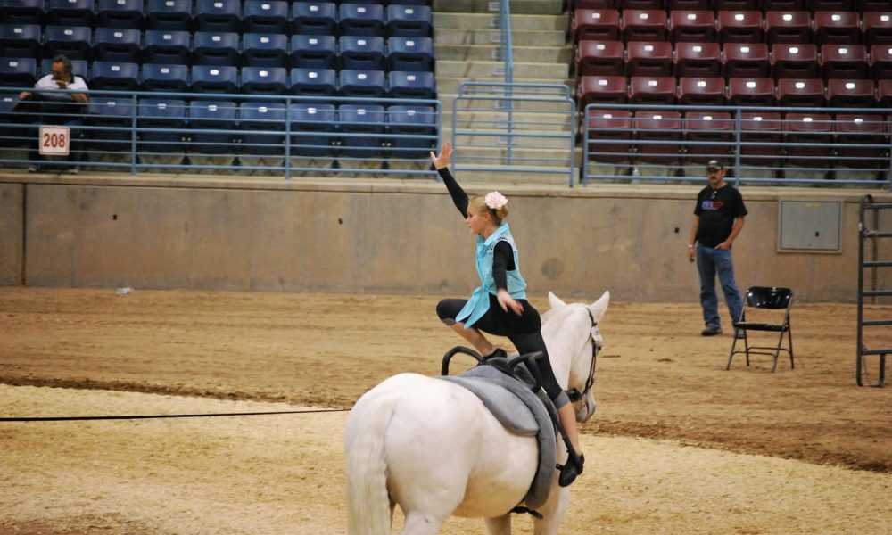 vaulting