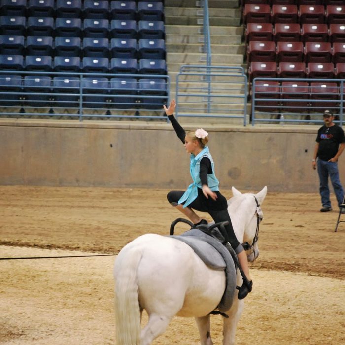 A Beginner’s Guide to Vaulting vaulting